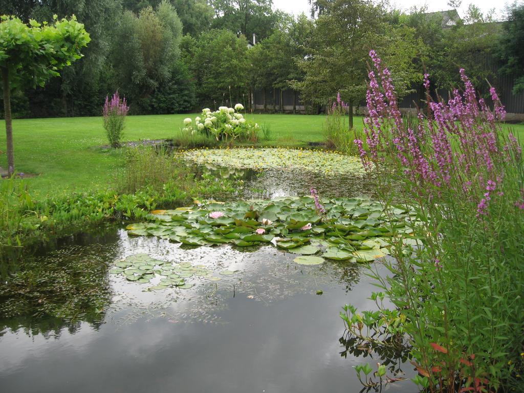B&B Oostzomerland Mijnsheerenland Exterior foto
